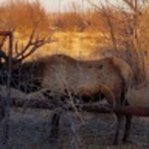 Meet your Posher, George